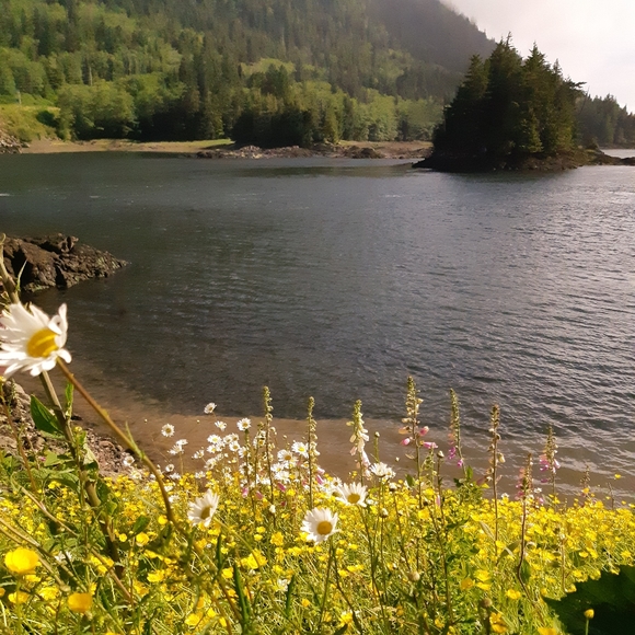 Meet Your Posher! - Picture 2 of 2